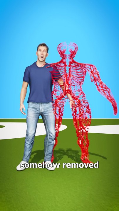 Ek insaan ke sharir mein itni lambi nasen? Tum yakin nahi karoge! 🤔