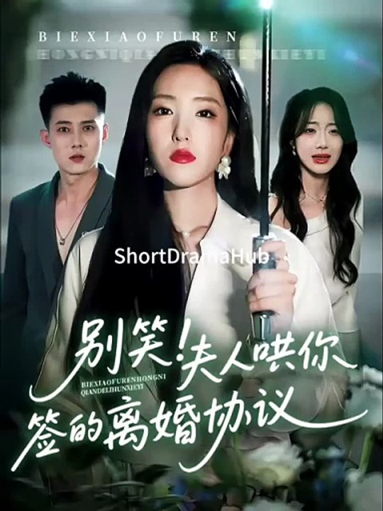 Lady In The Law - She’s a Lawyer—And She Just Destroyed Her Ex in Court