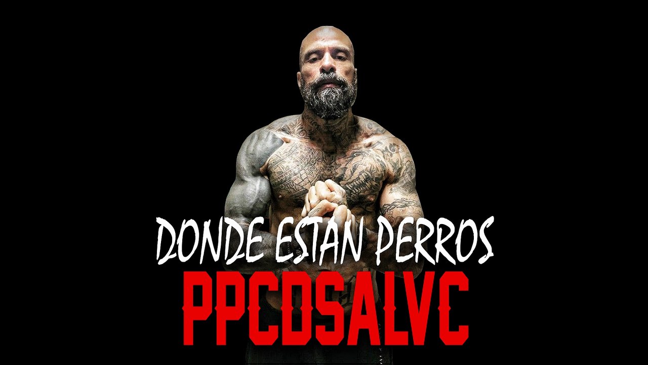 DONDE ESTAN PERROS BASE DE RAP MALANDRO TIRADERA BABO CKAN #beats #rap