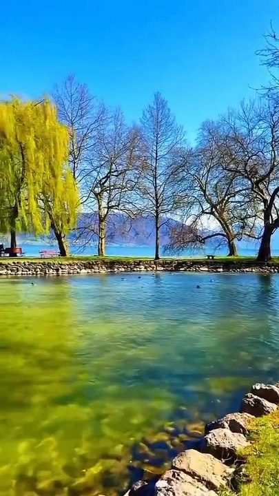 Nimaz: Benefits and Challenges You Should Know 🙏