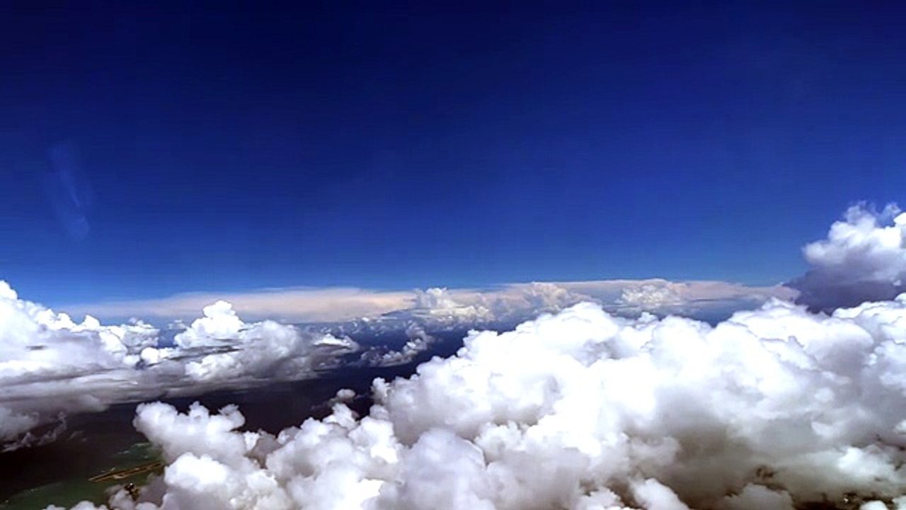 A forest that seems to fly. 佐々原学