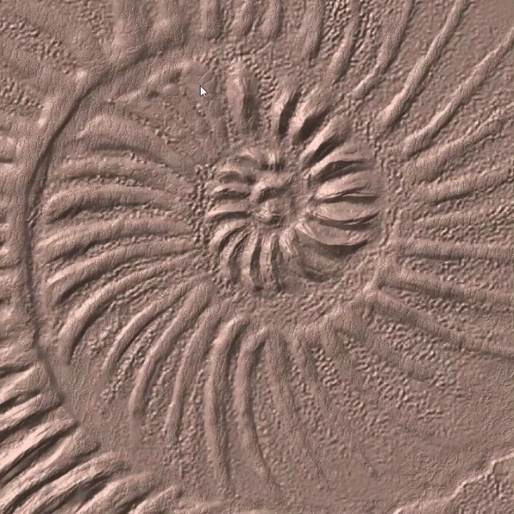 working process nautilus_1