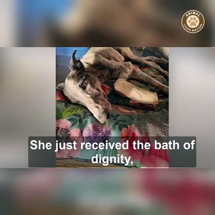 M1008013_She Thought It Was the End But It Was the First Chapter_part2