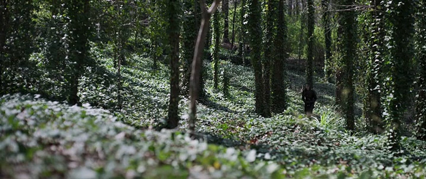 Movie Magic 2.0 Inheritance