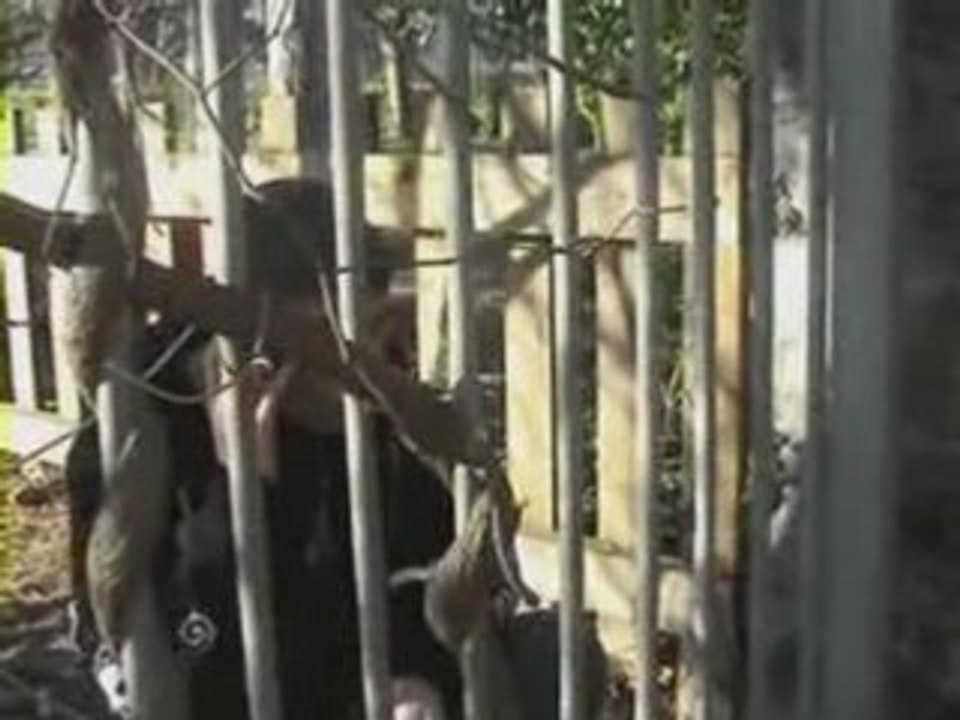 Blood Fire Épisode 1 🎬 - La Série Intense à Ne Pas Manquer!