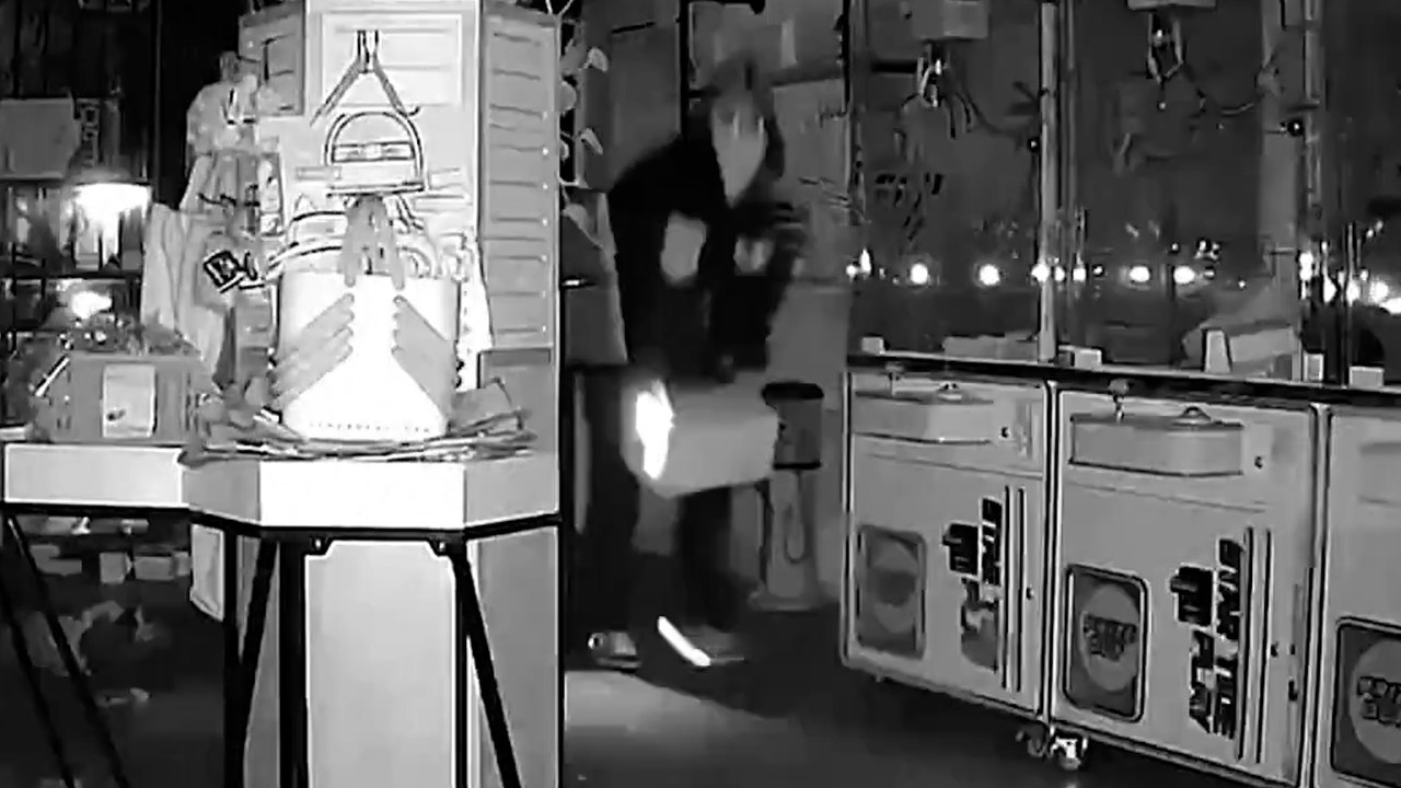 Ils volent pour 7000 dollars de peluches Labubu