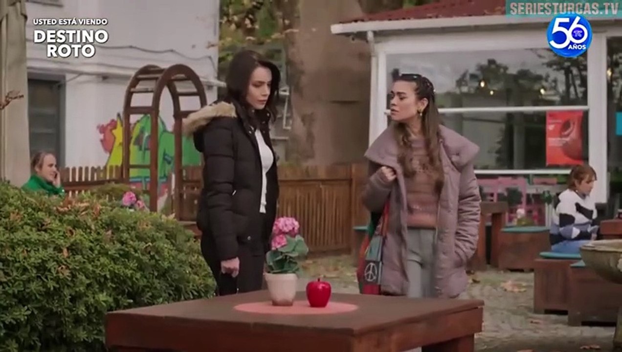 56. Destino Roto (Toprak Ile Fidan), en español