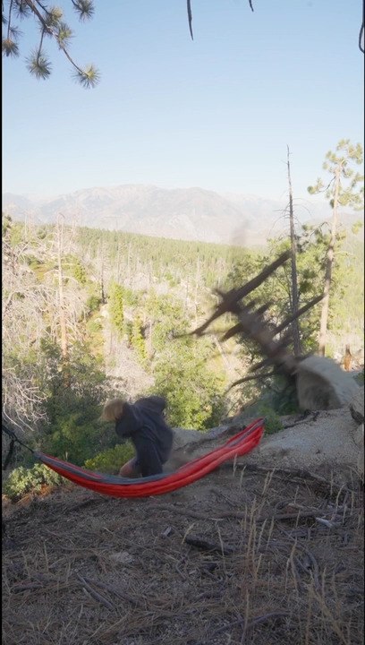Hammock Setup on Dead Tree Ends in Injury