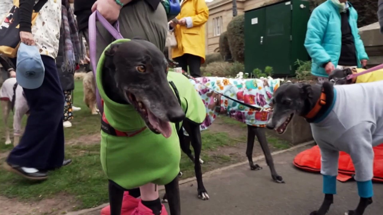 Crossbenchers wield their influence in Tasmania’s new political order