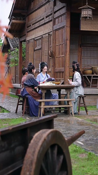 特工悍娘带全家致富（64集）虞彤彤下