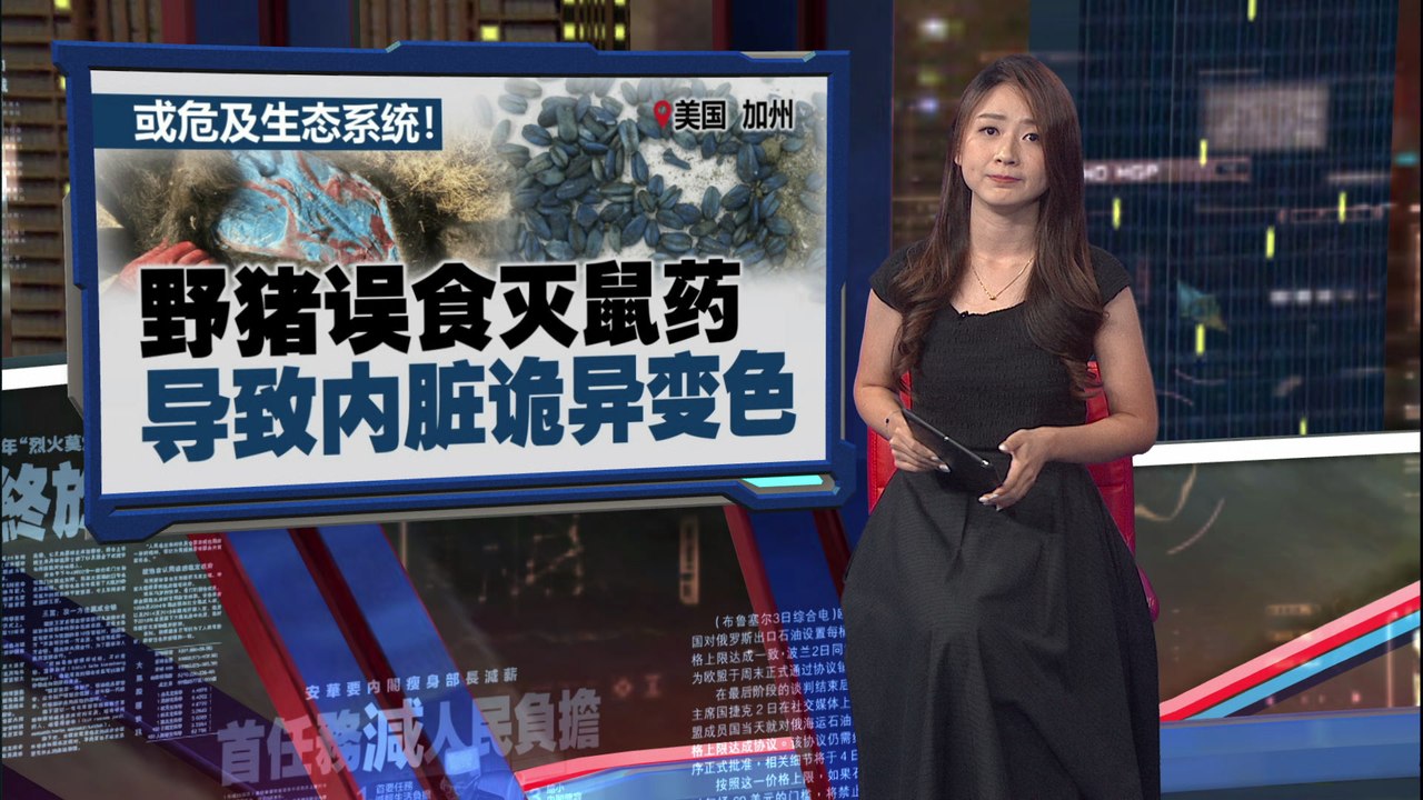 震惊生物界！   美国加州惊现“萤光蓝”内脏野猪