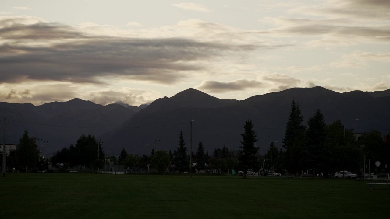 No Zelenskiy, No Trust? Trump-Putin Alaska Summit Questioned"