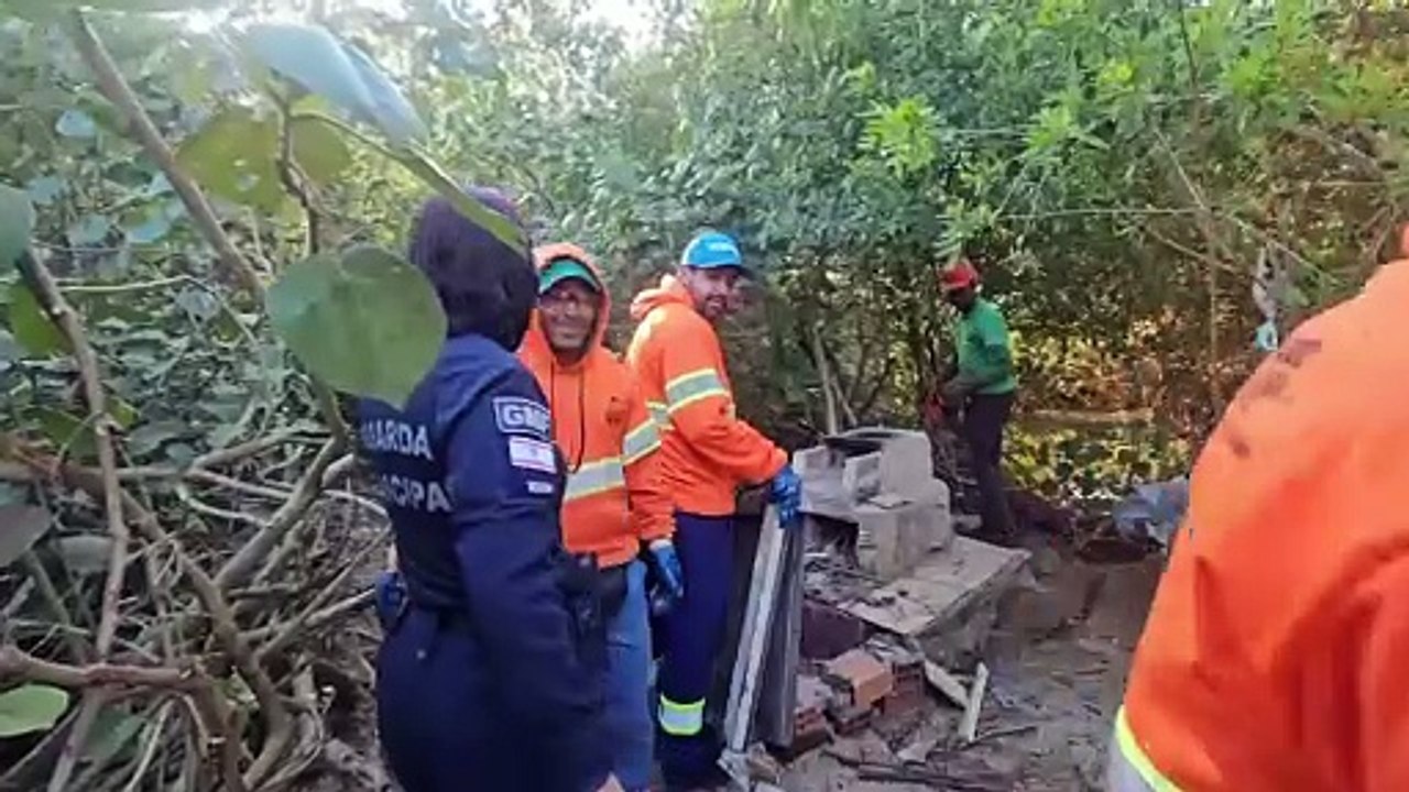 Vídeo mostra como era casa irregular demolida em área de mangue em Florianópolis