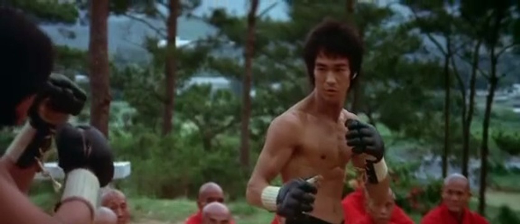 Enter The Dragon 1973