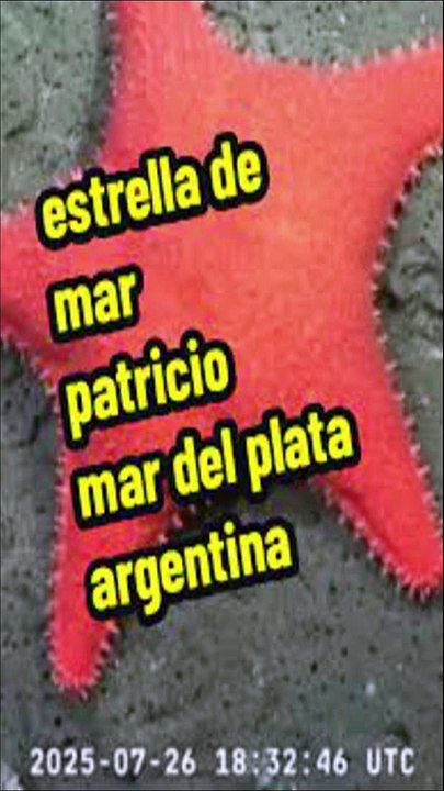 La famosa estrella culona del CONICET explicada