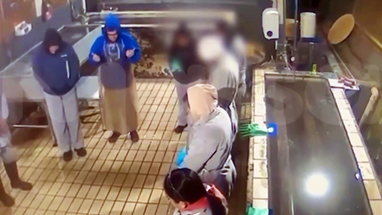 Imagens mostram trabalhadores orando antes de explosão no Paraná