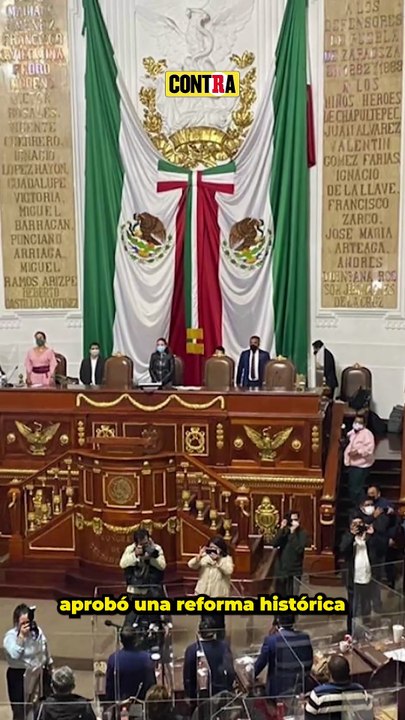 ¿Con quién se queda el perro? Aprueban nueva ley para decidir la custodia de las mascotas tras un divorcio.