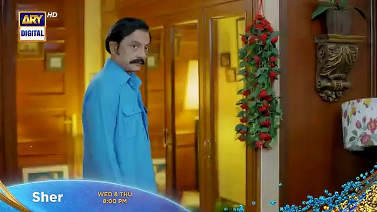 Sher Episode 27 _ Promo _ Danish Taimoor _ Sarah Khan