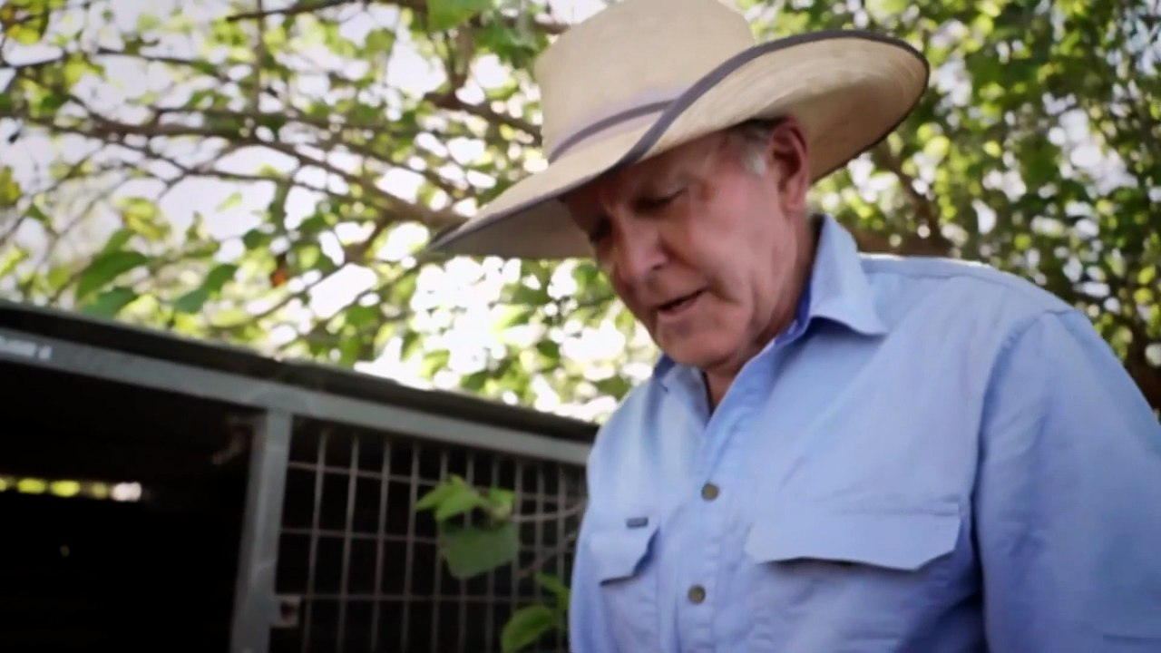 TV personality and working dog trainer rebuilds life after family heartbreak