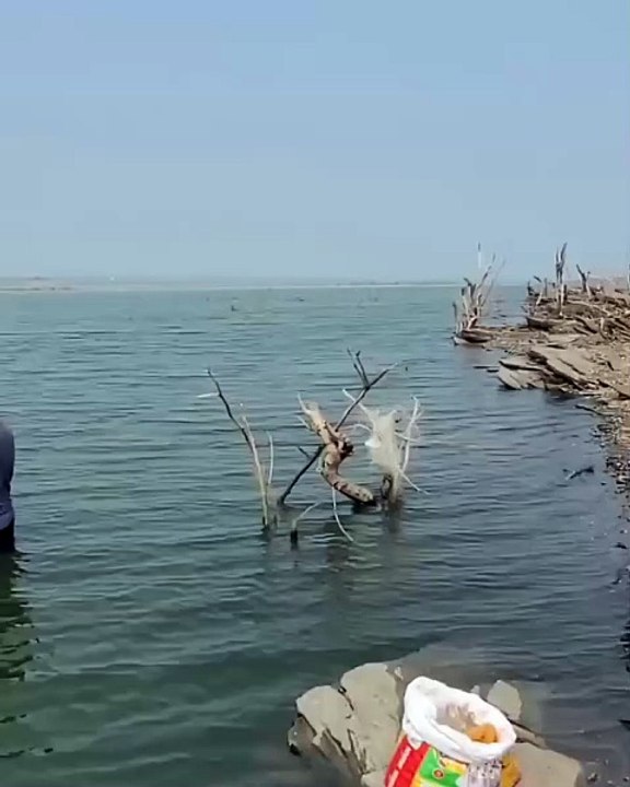 fishing 2025 🎣 fishing