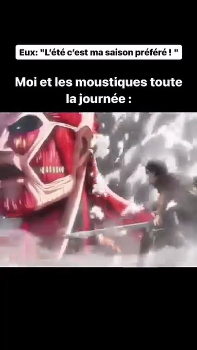 Moi et les moustiques en été