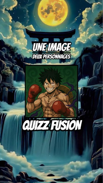 Quizz Fusion - Une image, deux personnages !