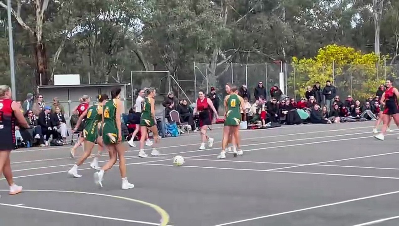 HDFNL 2025 A grade second semi-final: Colbinabbin v White Hills.