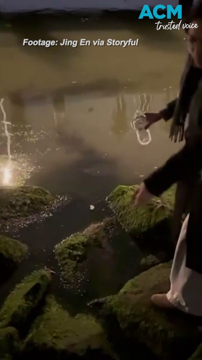 People play with magic bioluminescent seawater in Melbourne