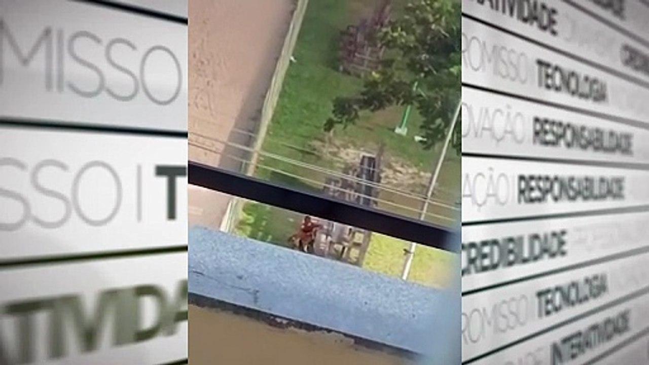 Homem é suspeito de cometer zoofilia no Pará