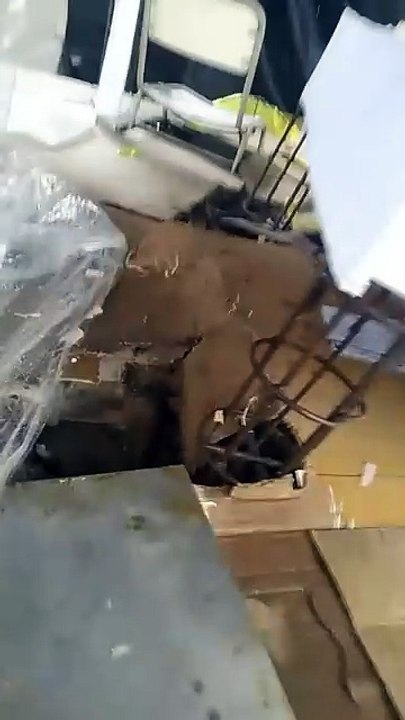 Colaboración Bachi 2