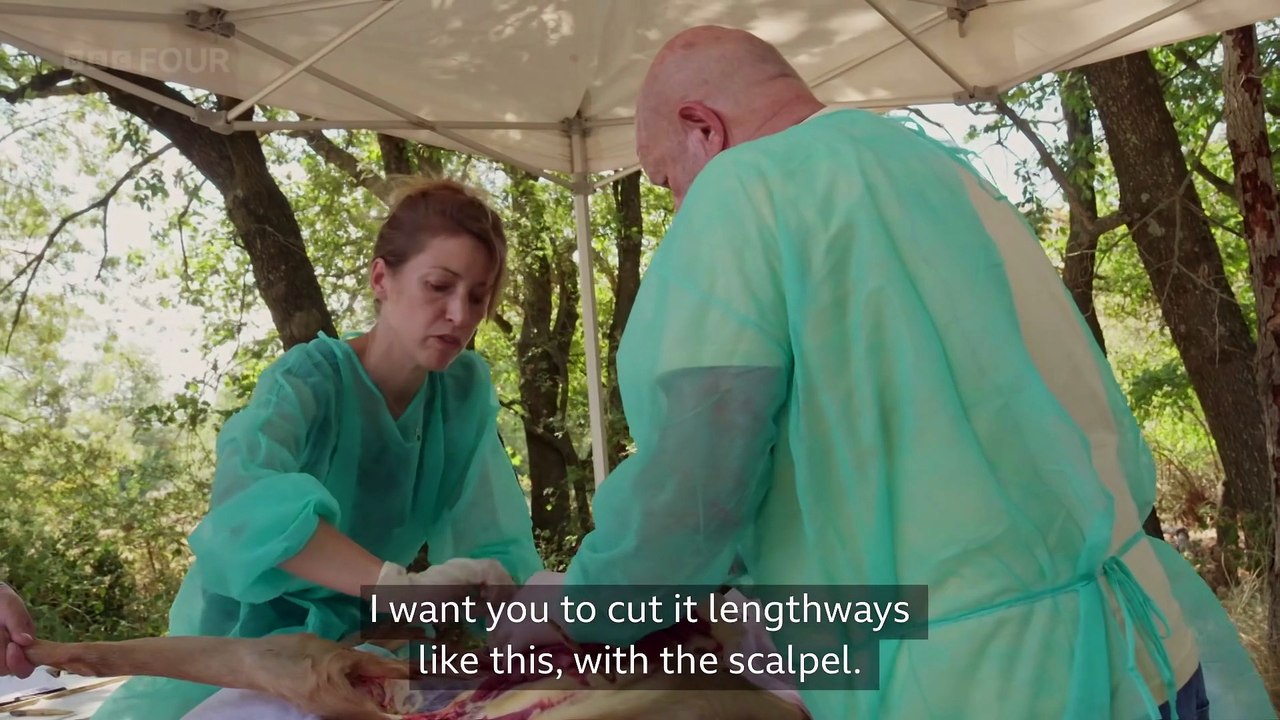 The Lost Neanderthals