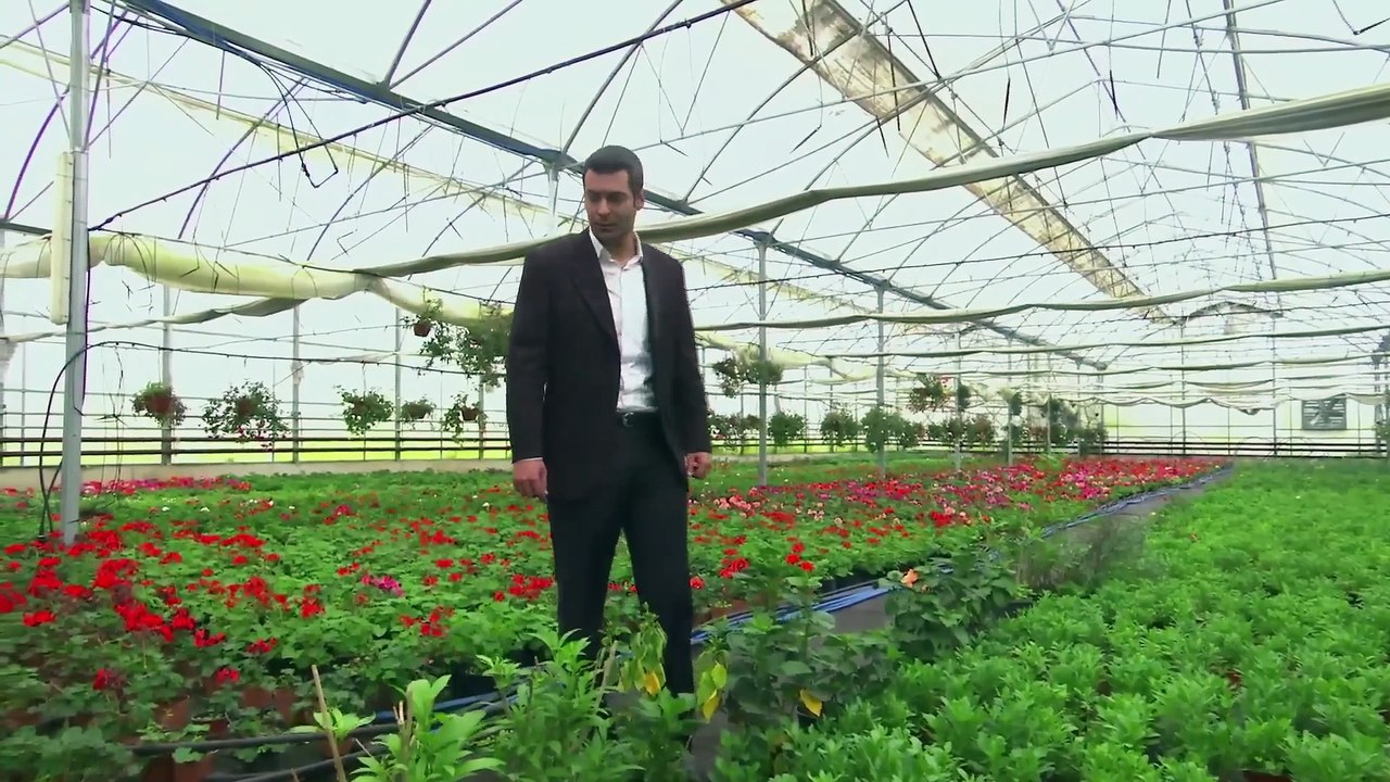 أليف الحلقة 36  دوبلاج عربي