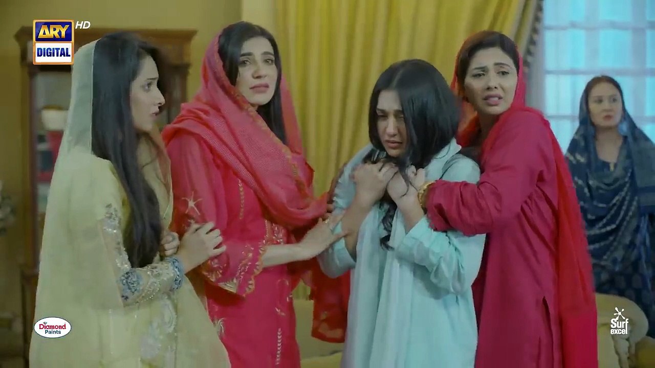 Sher Drama Today: Latest Episode Highlights 🐾