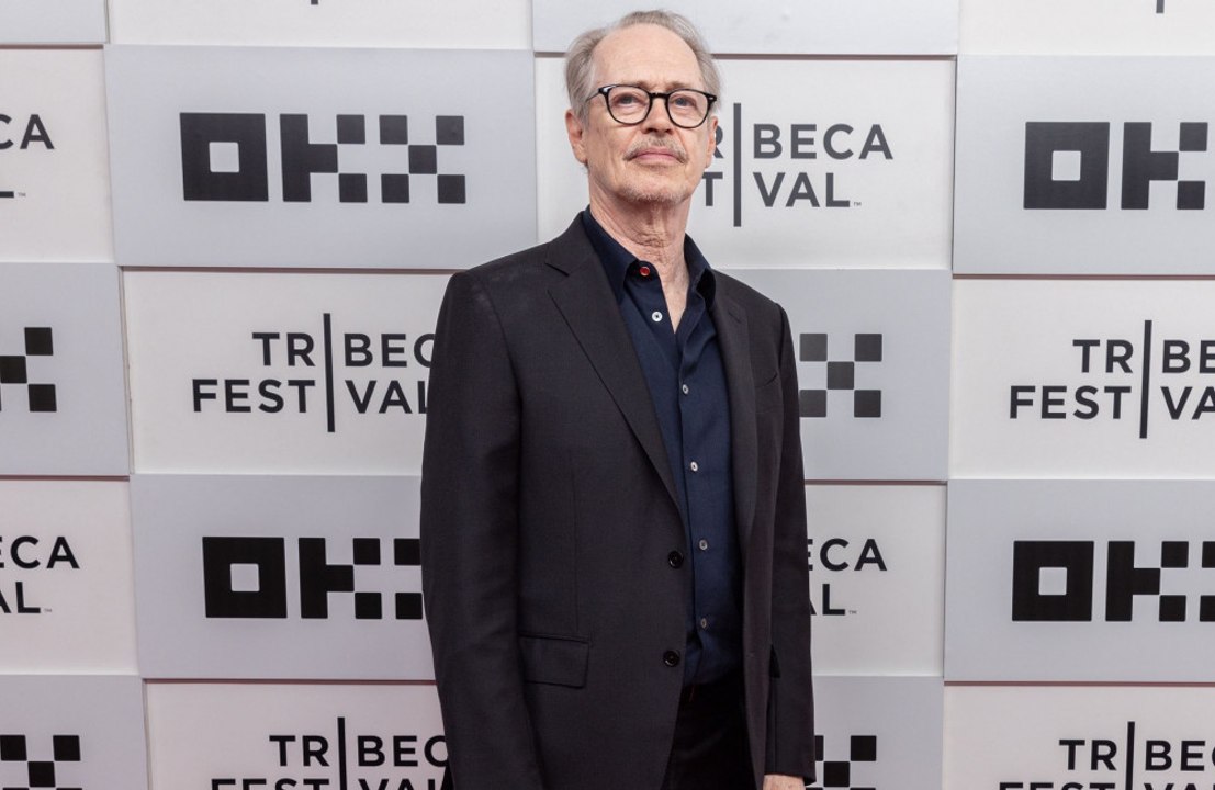Steve Buscemi likes playing characters who are 'a little broken'