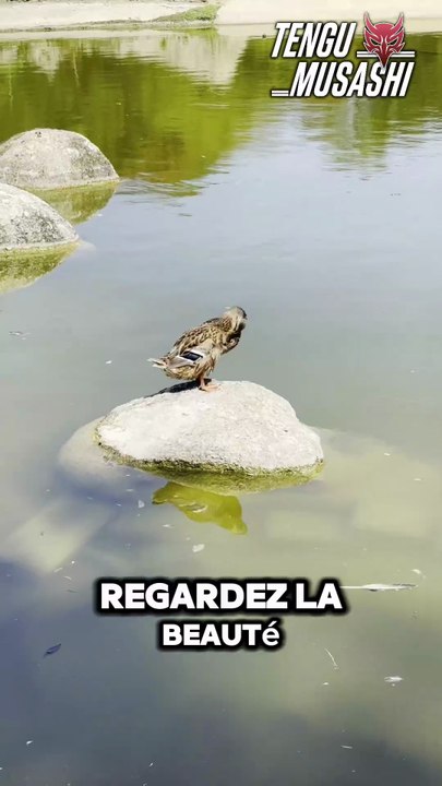 Vlog du  Zoo de Lyon