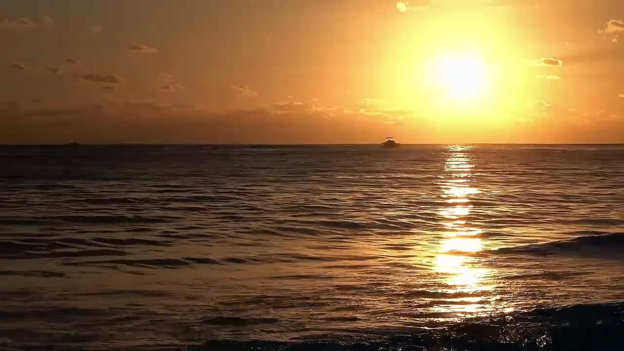 Tololoche – La del Primer Puesto (Estreno 2025 | Corrido Bélico Romántico)