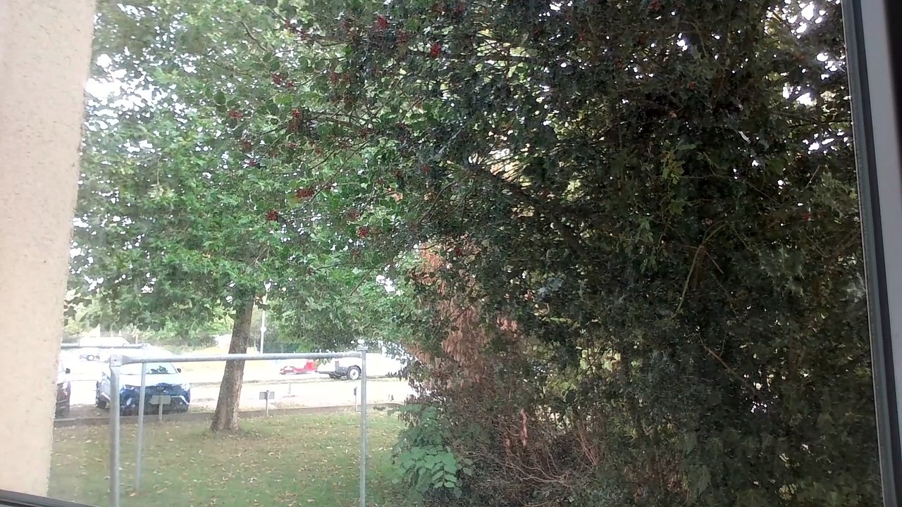 Why I Prefer Bicycles Over Cars 🚲