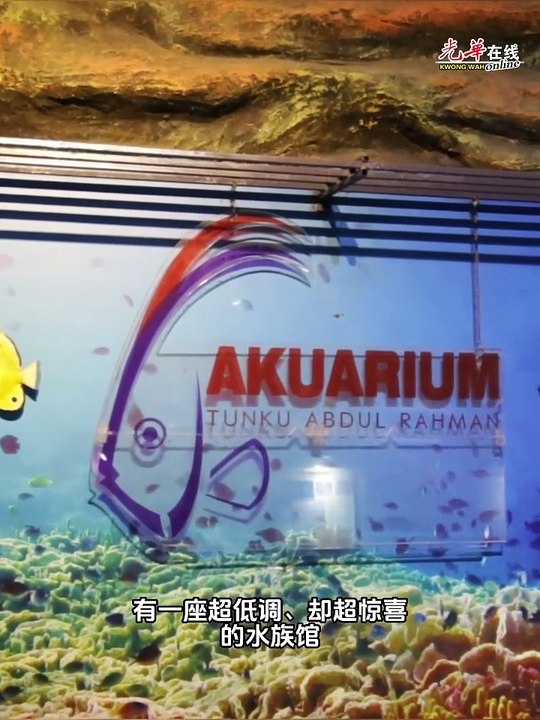 原来小丑鱼比人还专情？！槟城隐藏版国家水族馆让人大开眼界！