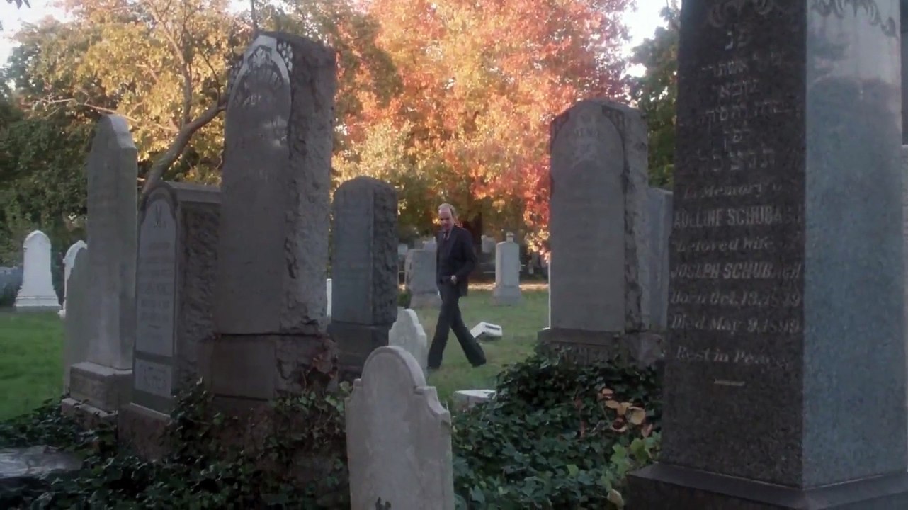 Perfect Strangers 1984