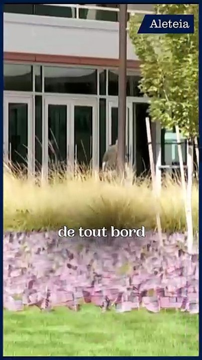 La mort de Charlie Kirk secoue l'Amérique