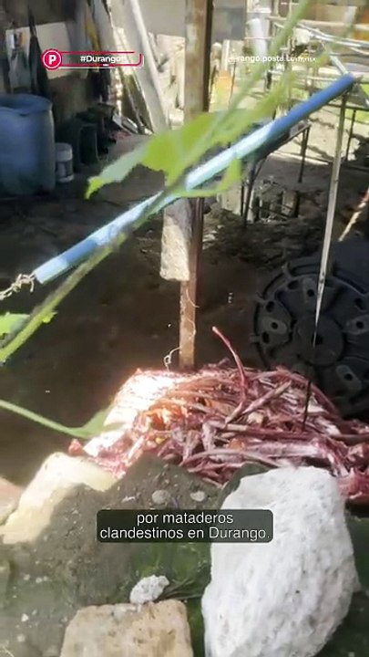 Rastros Clandestinos