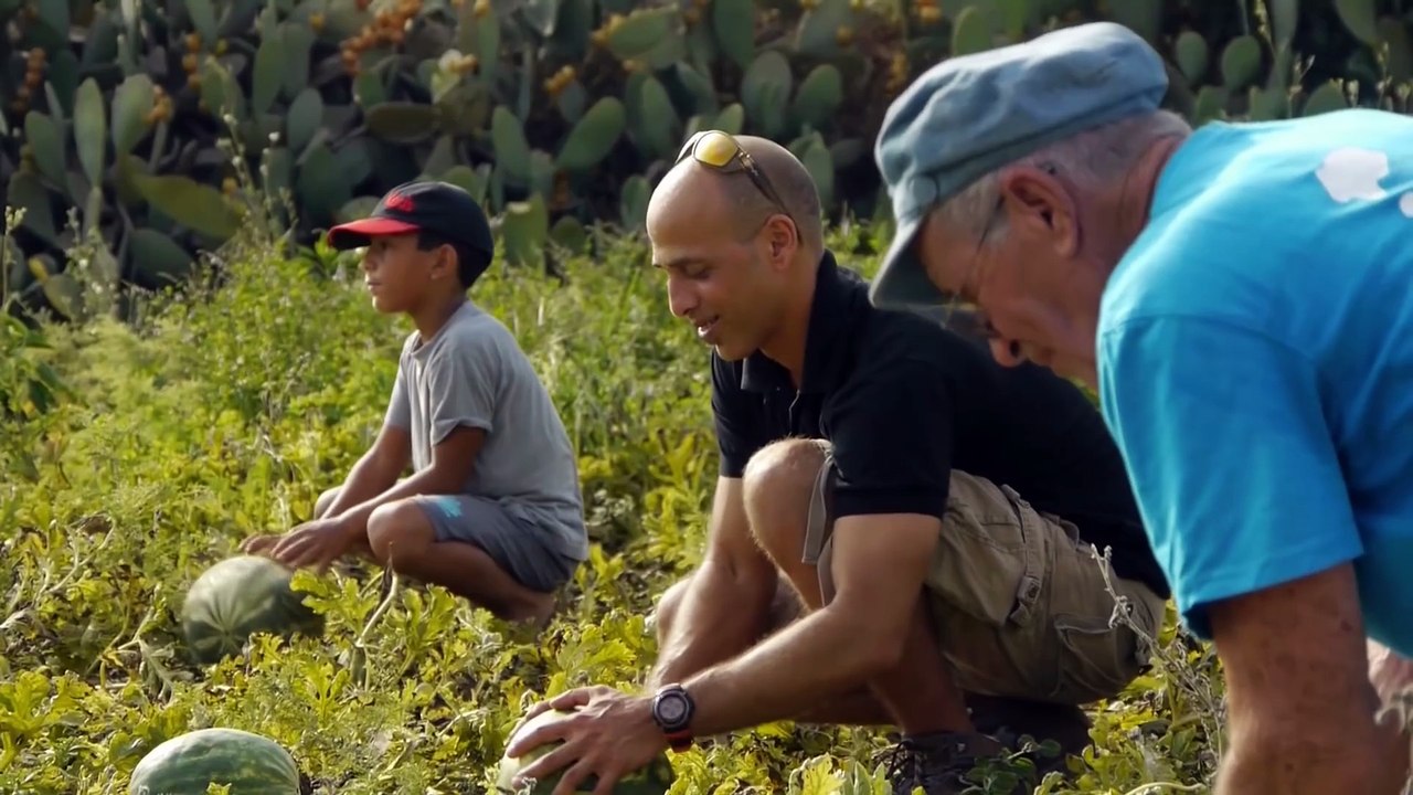 The Road Between Us The Ultimate Rescue Trailer