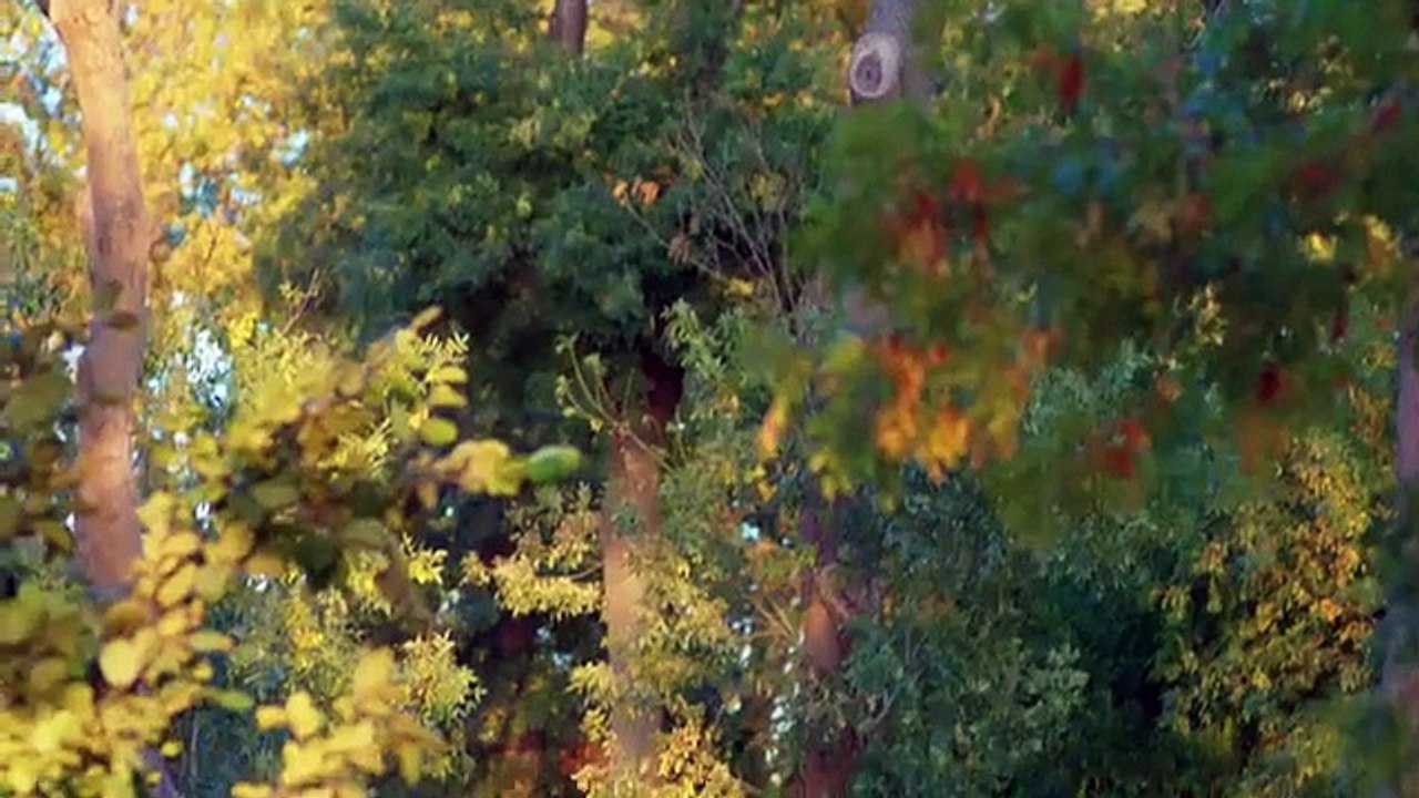 Sabor A Paixão 34 (Dolunay dublado)