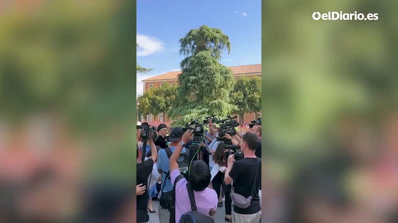 PROTESTAS AYUSO ALCALA