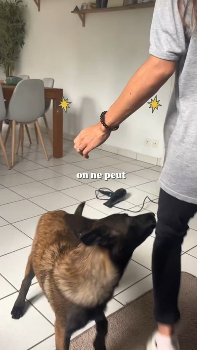 L’odeur de la Toun c’est quelque chose 🤌