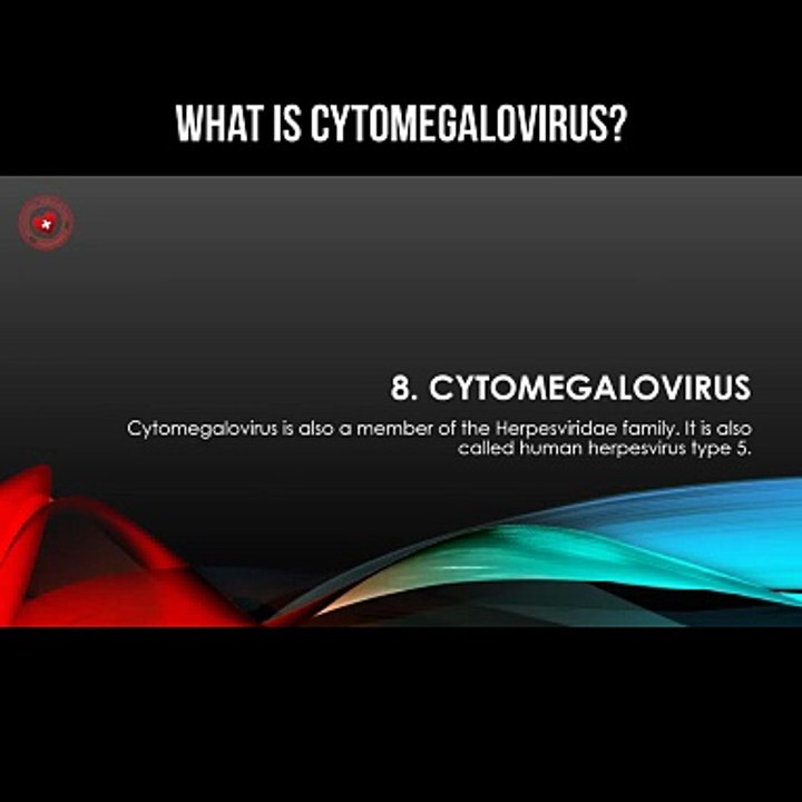 What is cytomegalovirus?