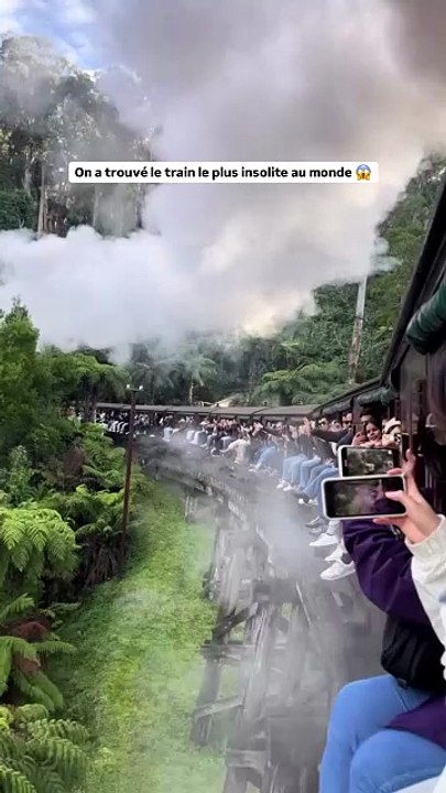 Un voyage dans le temps à bord du Puffing Billy Railway en Australie  🌿🚂