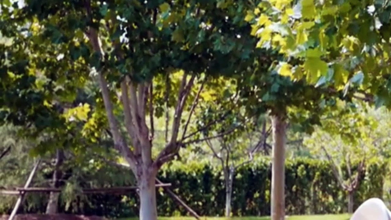 Loves Ambition Ep 01 | English Sub