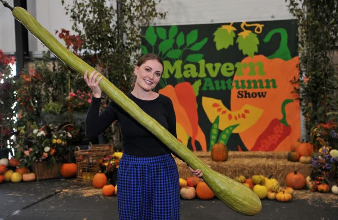 Malvern Autumn Show 2025