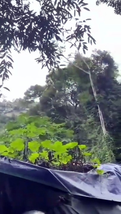 เปิดคลิปปะทะที่ช่องอานม้า กัมพูชา ตั้งกล้องหวังไทยโต้เพื่อเก็บหลักฐาน